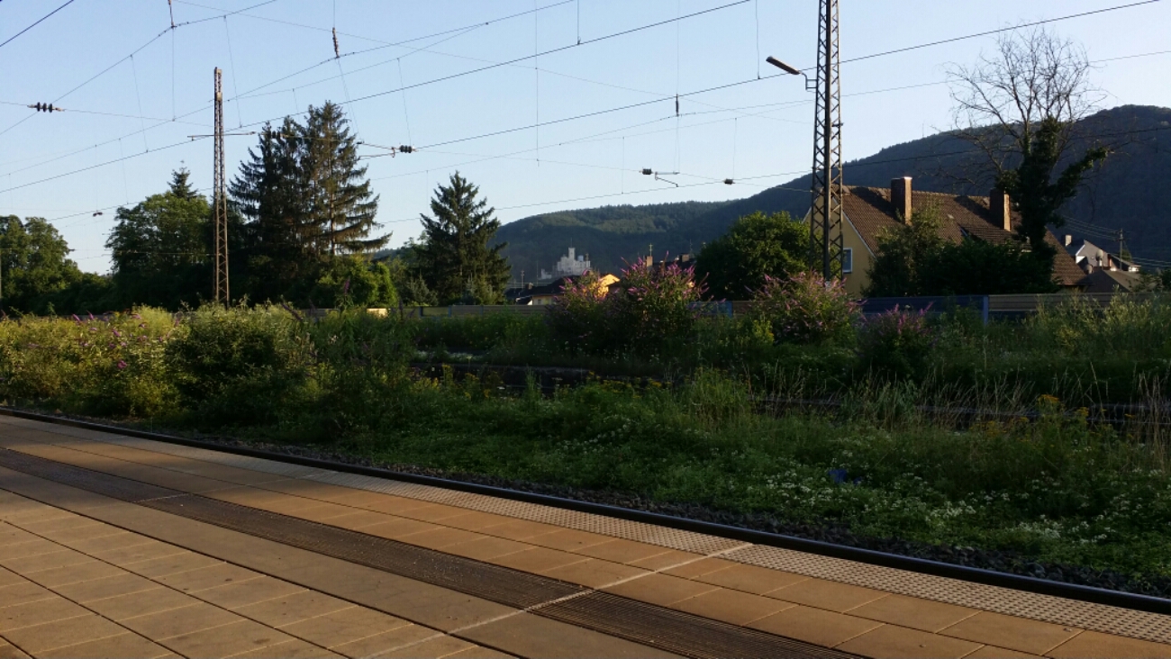 Bahnhof NiederlahnsteinÂ 
